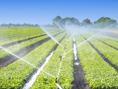 Shandong runxing water-saving irrigation co.ltd